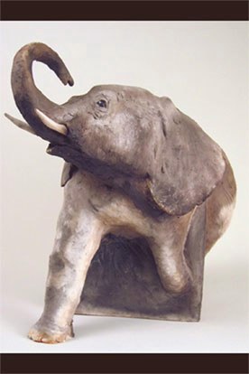 Endangered Elephant